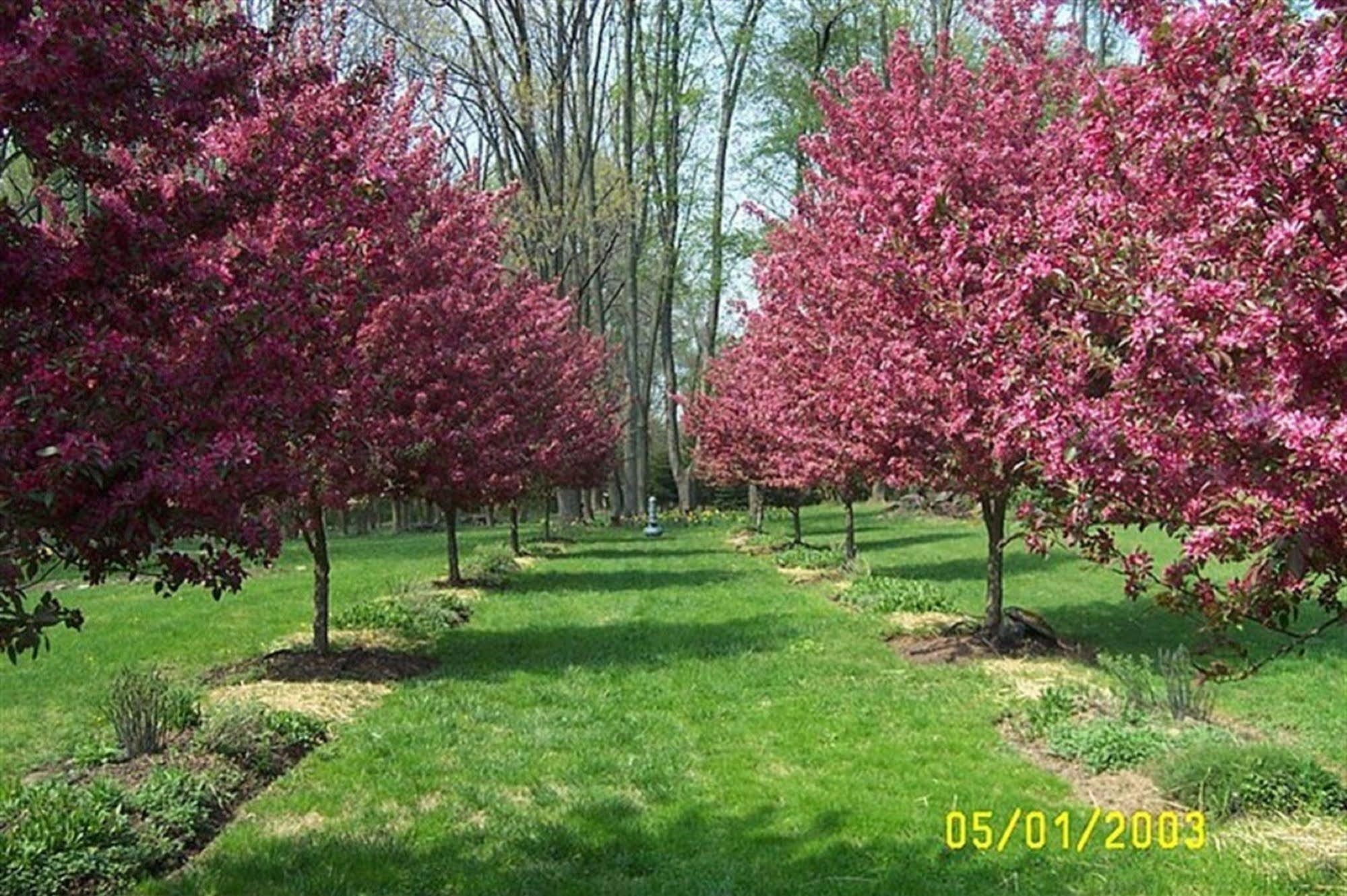 Wild Wisteria Bed & Breakfast Chadds Ford Exterior foto