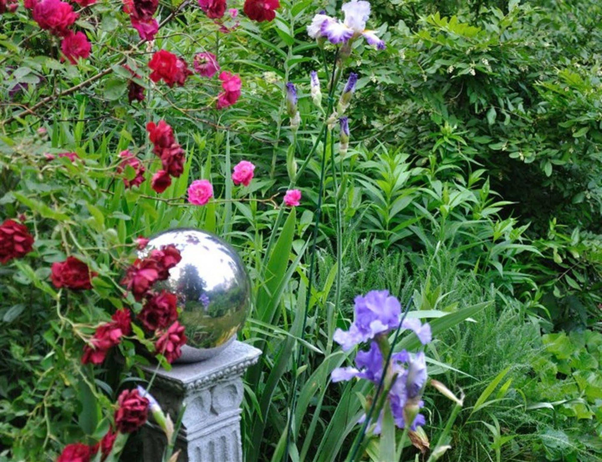 Wild Wisteria Bed & Breakfast Chadds Ford Exterior foto