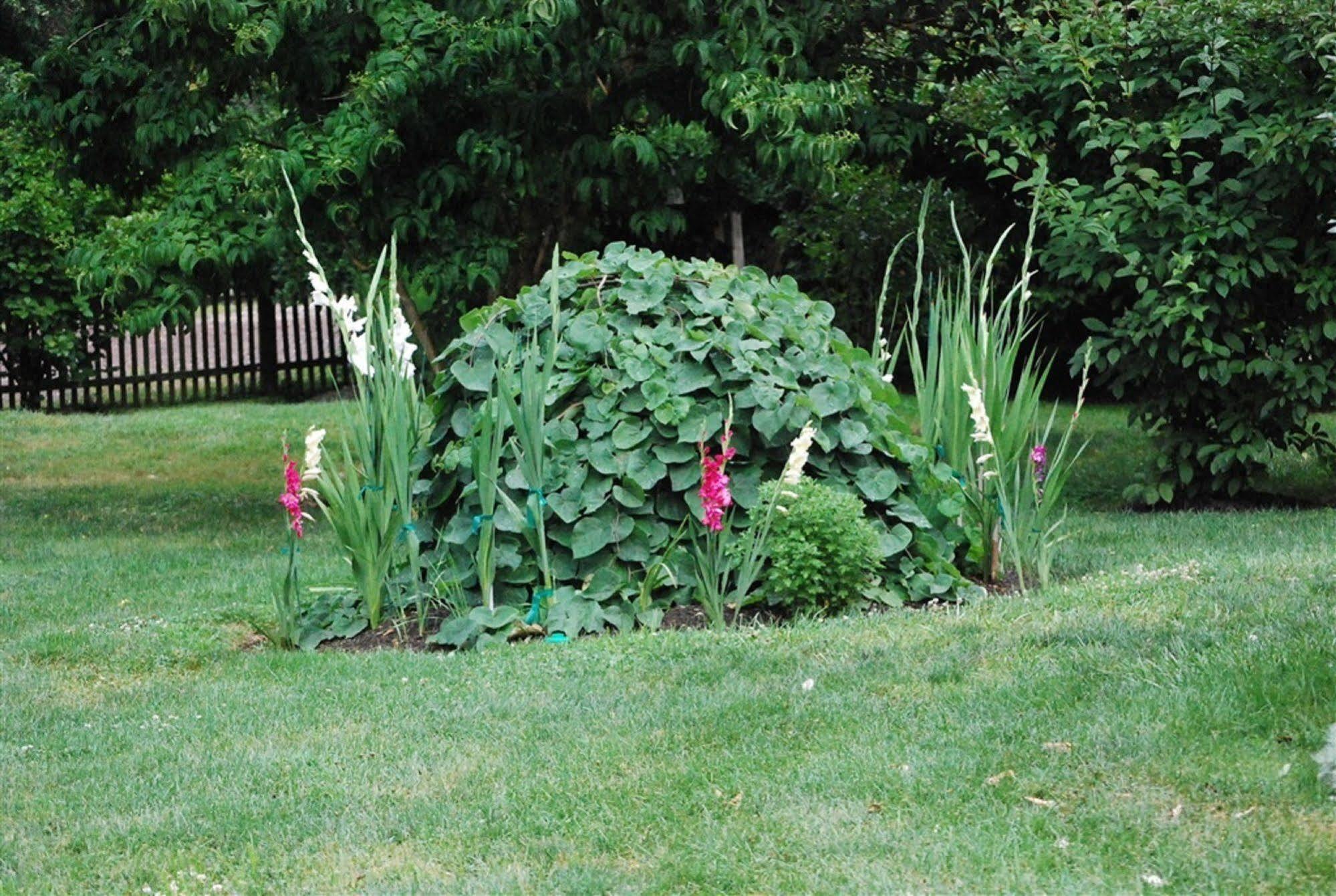 Wild Wisteria Bed & Breakfast Chadds Ford Exterior foto
