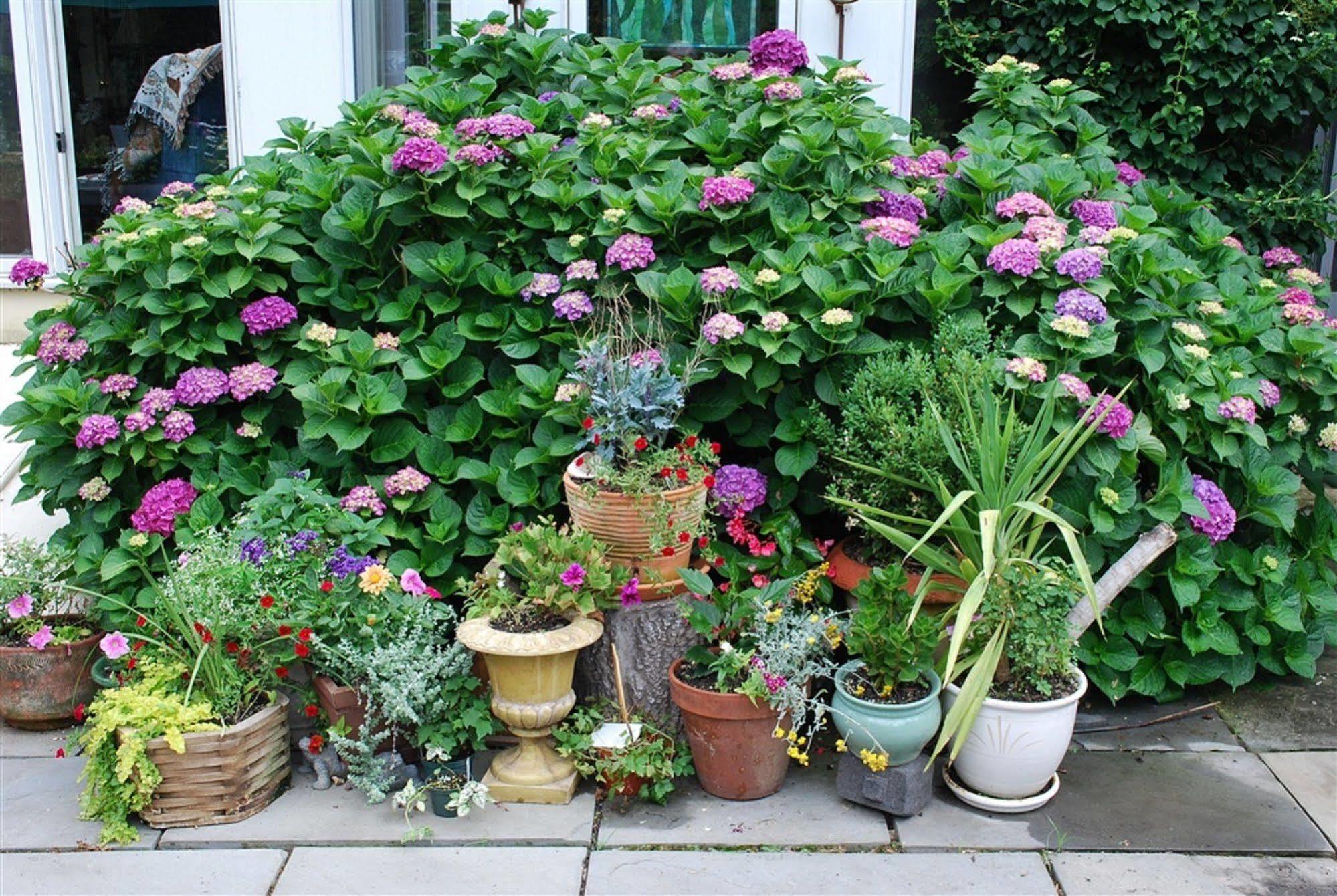 Wild Wisteria Bed & Breakfast Chadds Ford Exterior foto