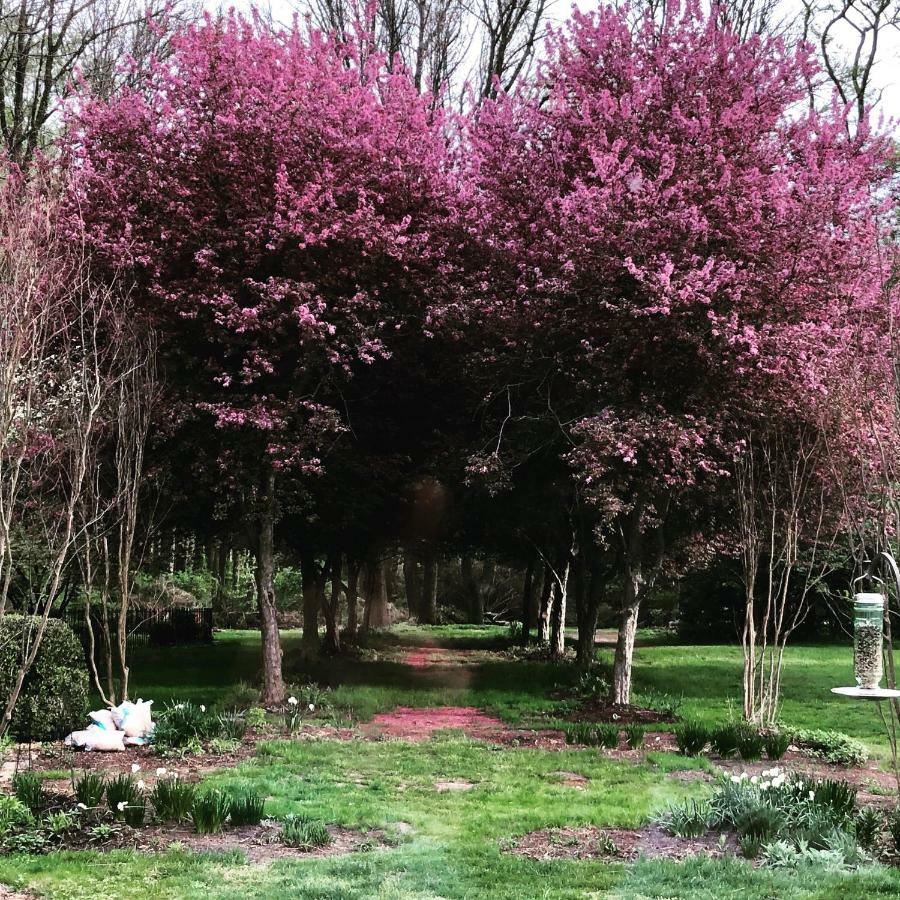 Wild Wisteria Bed & Breakfast Chadds Ford Exterior foto